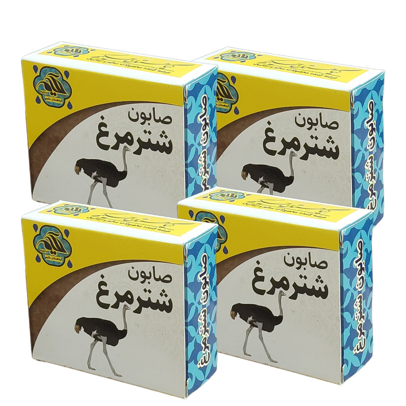 صابون شستشو گیاهستان حکیم مدل شترمرغ وزن 70 گرم بسته 4 عددی