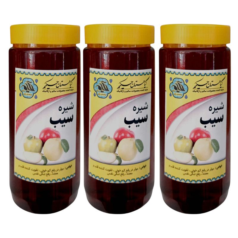 شیره سیب گیاهستان حکیم - 1 کیلوگرم بسته 3 عددی