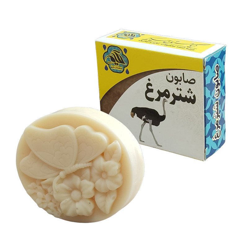 صابون شستشو گیاهستان حکیم مدل شترمرغ وزن 70 گرم