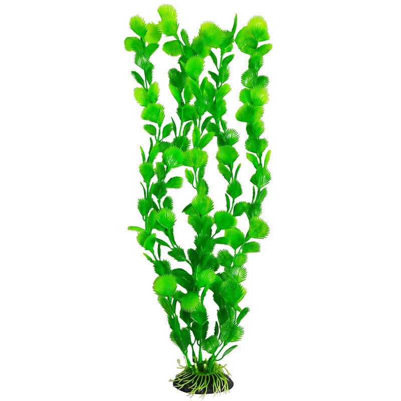 گیاه تزیینی آکواریوم کد 010