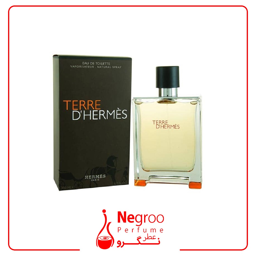 عطر ادکلن هرمس تق هرمس | Hermes Terre d’Hermes 100 ml