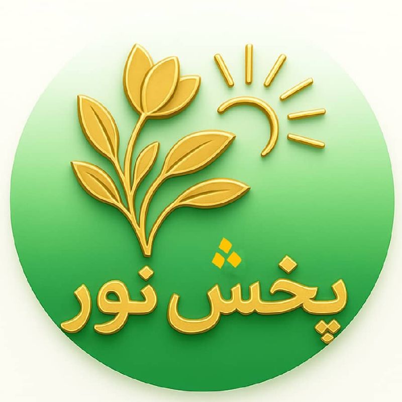 عاطفه منصوری