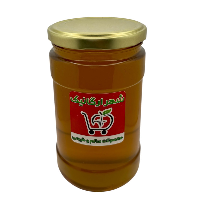 عسل بهار نارنج طبیعی شهر ارگانیک - 1000 گرم