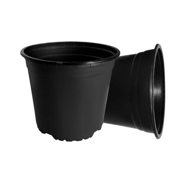 گلدان ژله ای (سایز 6، 8، 11، 16، 19) / قیمت+خرید