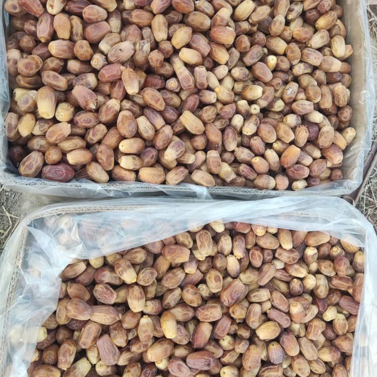 زاهدی