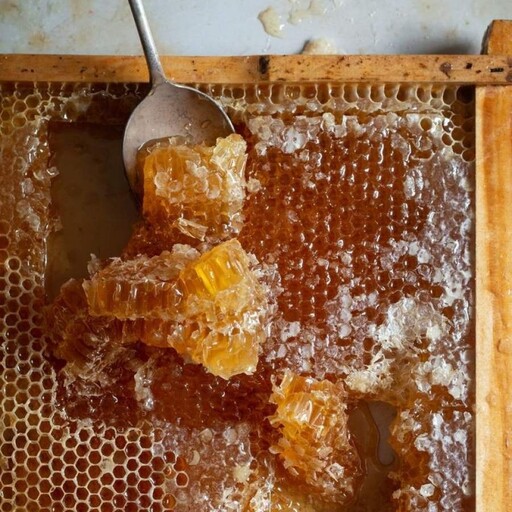 عسل طبیعی کوهستان(موم دار  همراه گرده )بسیار با کیفیت و کیفیت کالا تضمینی می باشد