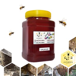عسل صخره ای وحشی منطقه جنوب 950 گرم