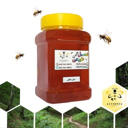 عسل جنگلی ارگانیک و اعلاء 900 گرمی