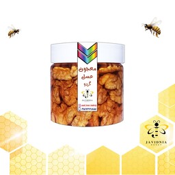 معجون عسل گردو ایرانی 380 گرمی