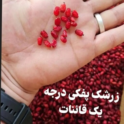 زرشک پفکی 300گرمی درجه یک قاینات خوشرنگ واورگانیک آب نزده وروغن نزده