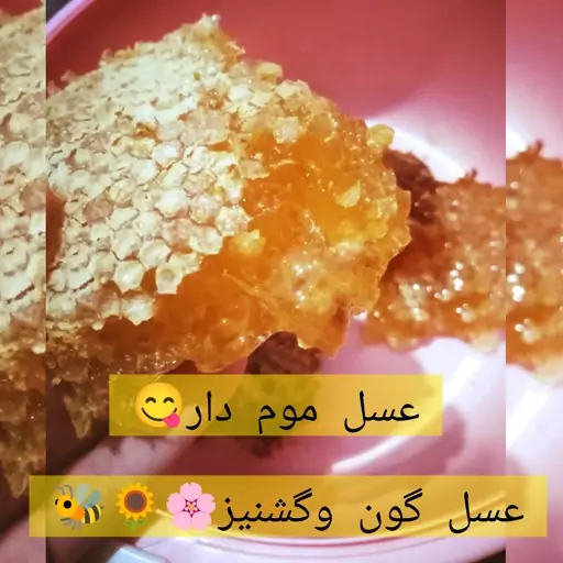 عسل باموم چندگیاه بسیارخوشمزه(خریداززنبوردار) ارسال رایگان