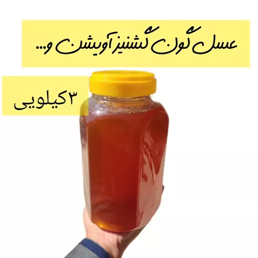 عسل طبیعی  چندگیاه 3کیلویی(مستقیم اززنبوردار) ارسال رایگان