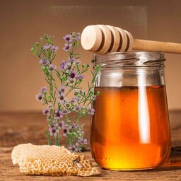 عسل طبیعی گون گز (1کیلوگرمی)