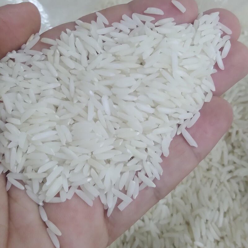 برنج صدری هاشمی محصول امسالی بسته 10 کیلویی