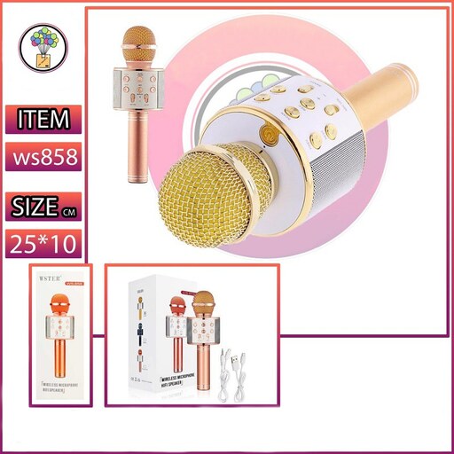 میکروفون اسپیکر مدل WS-858