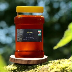 عسل طبیعی جنگلی (مستقیم از زنبوردار)(یک کیلویی)(ارسال رایگان)