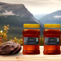 عسل طبیعی گون اویشن 2 کیلویی(ارسال رایگان)(مستقیم از زنبوردار)(با برگه آزمایشگاه)