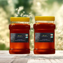 عسل طبیعی چهل گیاه دو کیلویی(مستقیم از زنبوردار)(ارسال فوری)