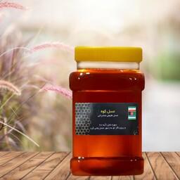 عسل طبیعی چهل گیاه 15 کیلویی (ارسال رایگان) (مستقیم از زنبوردار)(ارسال فوری)