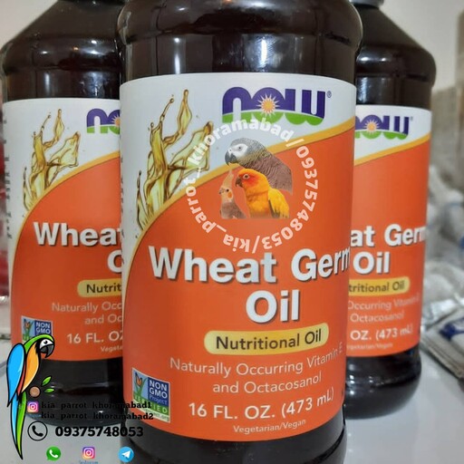 روغن جوانه گندم پرندگان ویجرم(Wheat Germ) 20 سی سی