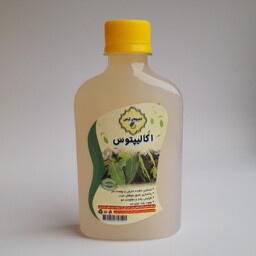 شامپو اکالیپتوس گیاهی 270 گرمی موسسه پژوهشی طبی بازرگانی سیمرغ (کمک به رفع خارش پوست سر،پاکسازی موهای چرب، تقویت مو) 
