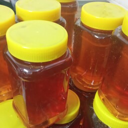 عسل گون  وزن یک کیلو 
