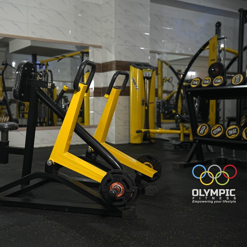 دستگاه بدنسازی اچ پایین تکنو المپیک فیتنس