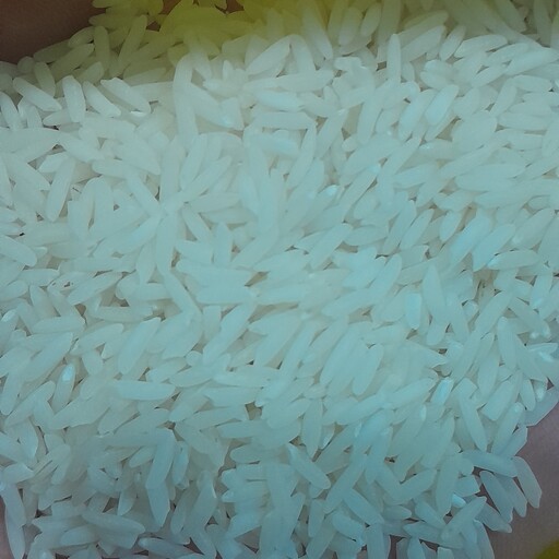 برنج طارم هاشمی مستقیم از کشاورز  کاملا تضمینی و خوش پخت و خوش عطر قیمت عالی