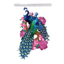 دفتر نقاشی فانتزی کودکانه کد 03 طرح طاووس، فنری از بالا، 40 برگ سایز A5