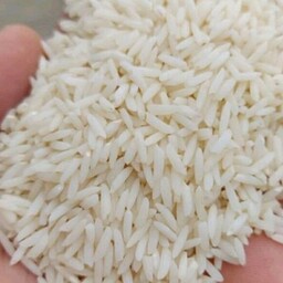 برنج صدری امساله کشت اول الک شده سفید رنگ پخت عالی 