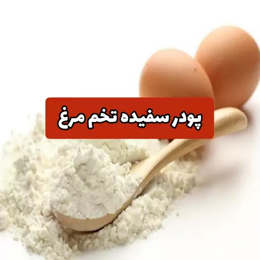 پودر سفیده تخم مرغ (بدنسازی) (پودر پروتئینه) (خارجی) 