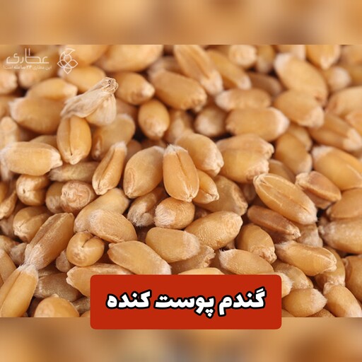 گندم بدون پوست، گندم حلیم، گندم پوست کنده