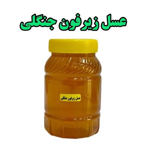 عسل طبیعی زیرفون جنگلی (یک کیلویی)