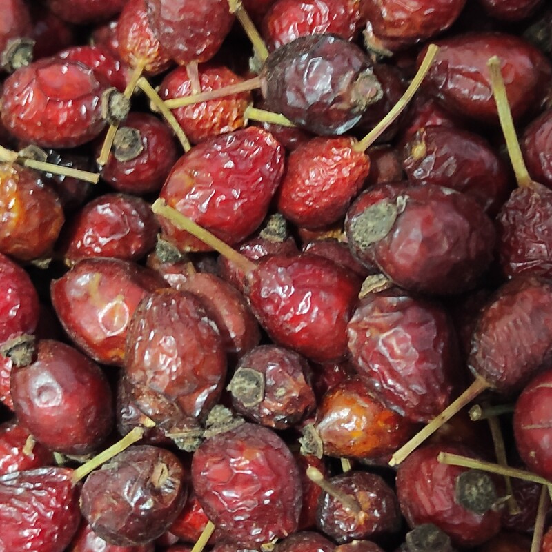 گیلدیک کوهی (میوه گل نسترن)خشک شده 155 گرم برداشت شده از ییلاقات اردبیل