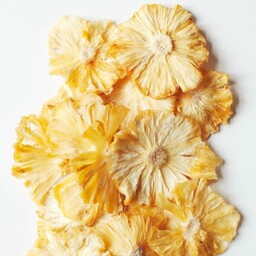 میوه خشک آناناس(100گرم)