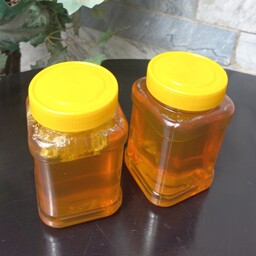 عسل طبیعی گون  (کیلوی)