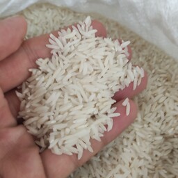 برنج تازه هاشمی گیلان لنگرود خوش پخت و خوش عطر  ((10 کیلوگرم))