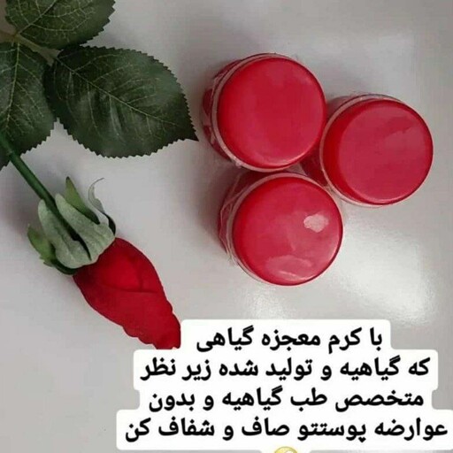 کرم دست ساز شب