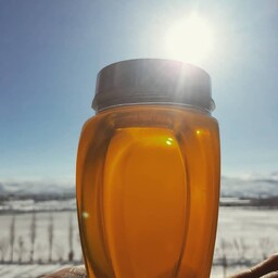 عسل طبیعی کنار  با  ساکاروز زیر 2