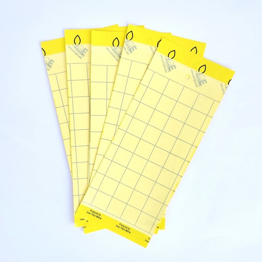 کارت (چسب) زرد جذب کننده حشرات پالیز بسته 5 عددی