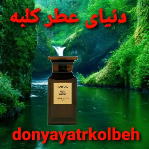 عطر تامفورد عود وود 100 میل