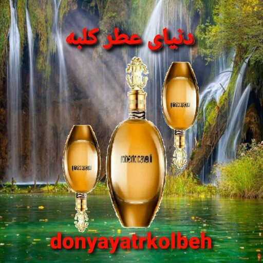 عطر روبرتو کاوالی 10 میل