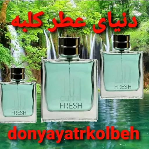 عطر دانهیل فرش 50 میل