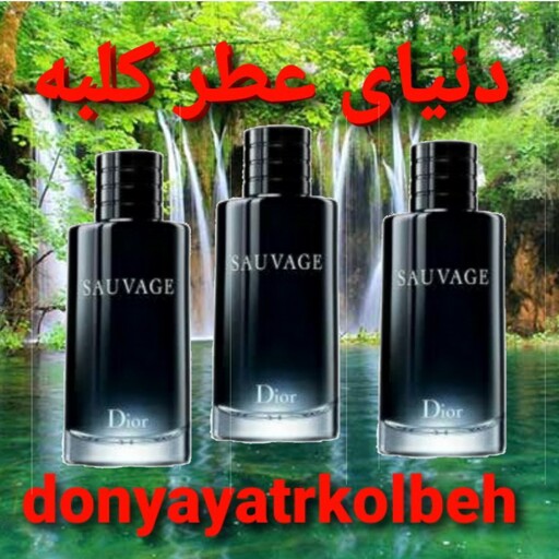 عطر ساواج  دیور  100 میل