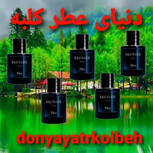 عطر ساواج الکسیر دیور 50 میل