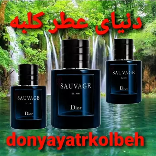 عطر ساواج الکسیر دیور 15 میل