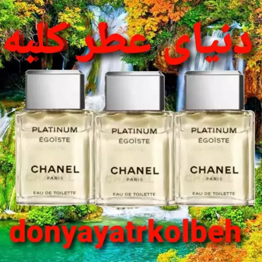 عطر شنل پلاتینیوم 30 میل