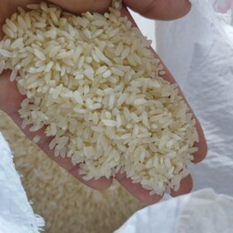 برنج کامفیروزی درجه یک 