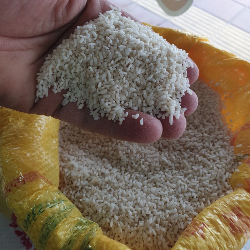 سرلاشه درجه یک برنج هاشمی گیلان بسته بندی معطر 10کیلویی 