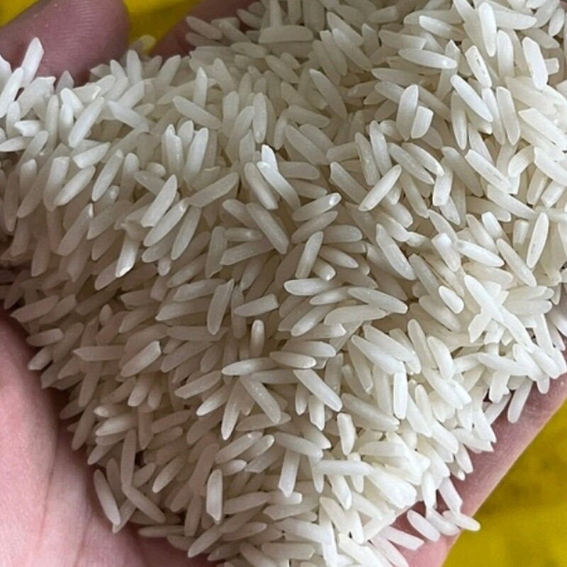 برنج  شیرودی محلی آستانه اشرفیه،10کیلوگرم، دانه بلند عطر ی محصول شالیزار فرید 